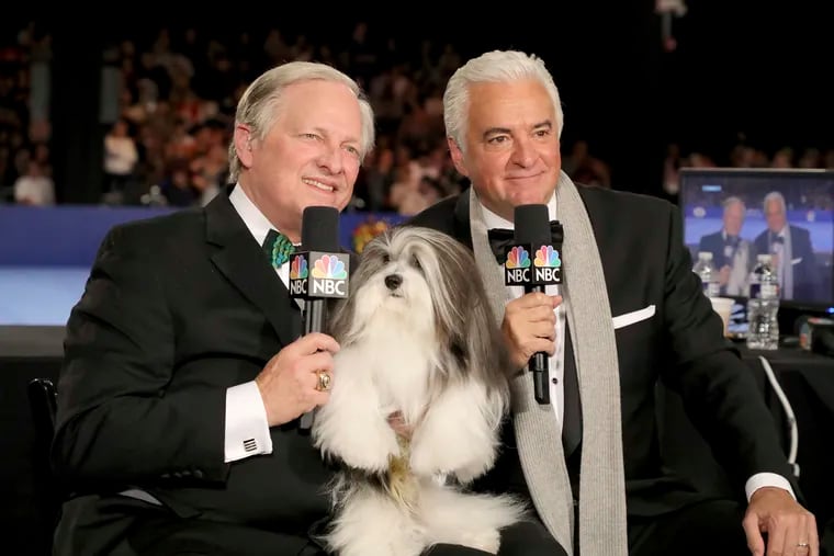 This image released by NBC shows David Frei, left, and host John O'Hurley posing with a havanese dog at The National Dog Show in Philadelphia. The annual parade of pooches has become one of the highest-rated shows of Thanksgiving. (Bill McCay/NBC via AP)