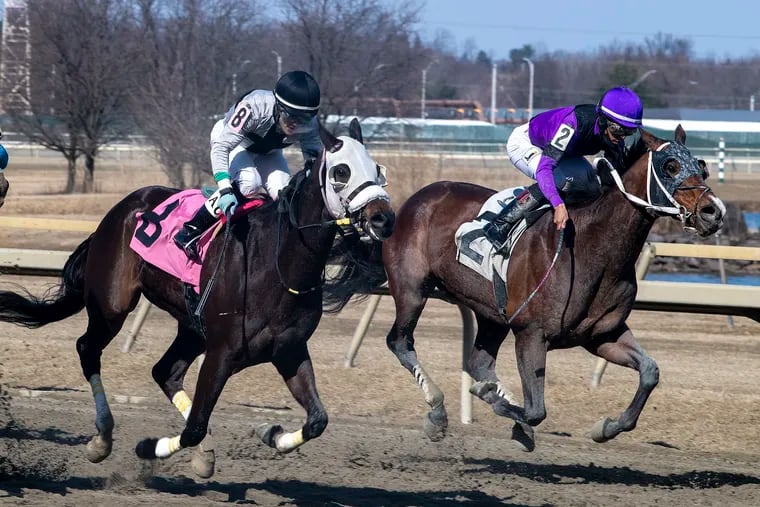 Thoroughbred horses run the track at Parx Racing in Bensalem, Pa., in March 2021. On Tuesday, Pennsylvania's agriculture department released new data on horse fatalities for the first six months of the year.