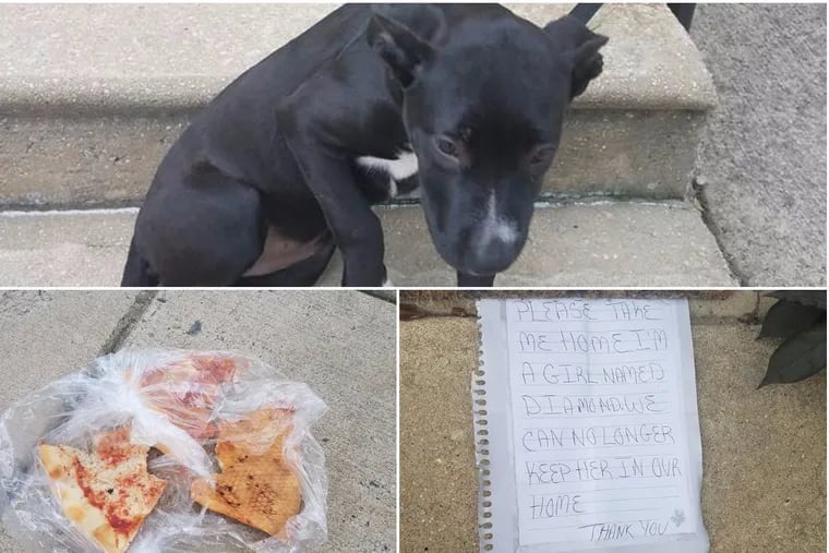 Diamond the dog was abandoned on an East Falls stoop with this pizza and note Sunday.