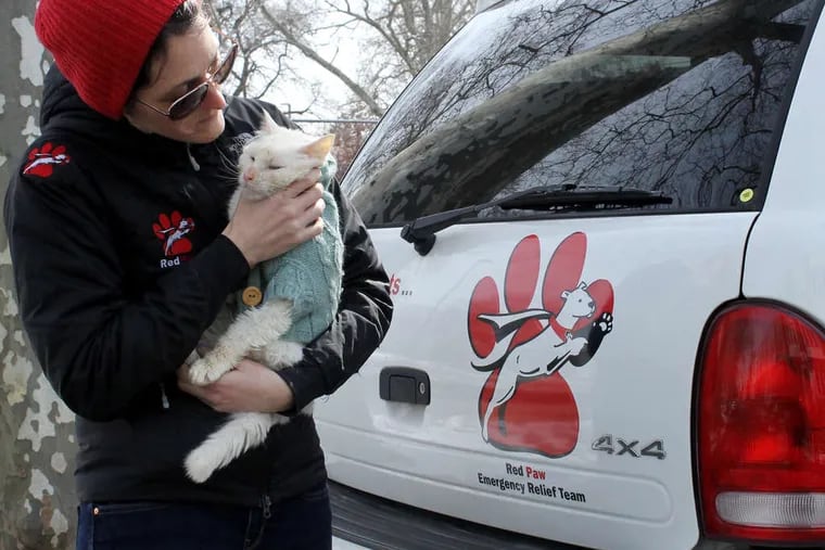 In a 2018 file photograph, Jennifer Leary holds Baldwin, rescued after a fire, outside Red Paw Emergency Relief Team's headquarters in South Philadelphia.