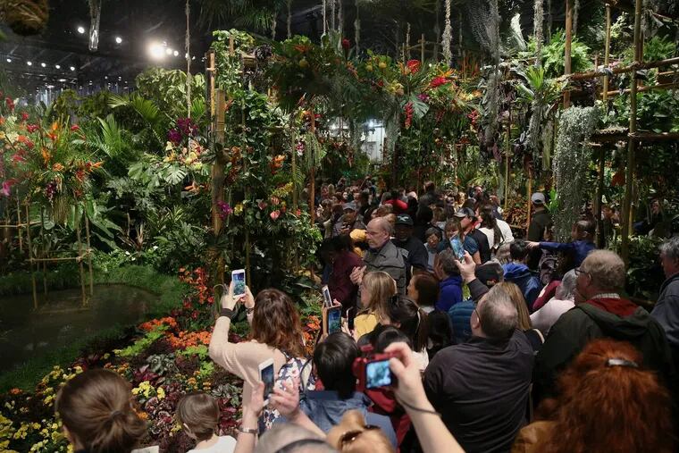 This year’s rainforest entrance was a photographer’s delight.
