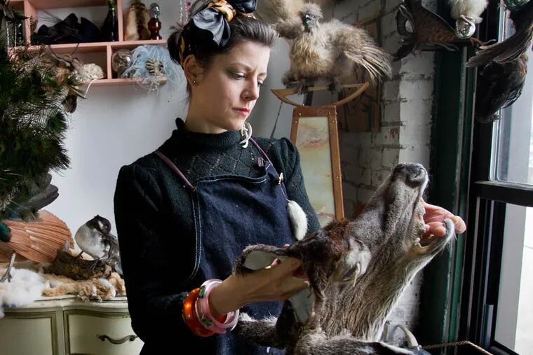 Beth Beverly of Diamond Tooth Taxidermy located on the 2600 block of Martha St. in Philadelphia. Photograph of Beth in her studio on Friday afternoon October 31, 2014. She is participating in the Philadelphia, Alt-Taxidermy competition. ( ALEJANDRO A. ALVAREZ / STAFF PHOTOGRAPHER )