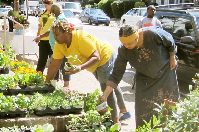 At the "Grow This Block!" event from Memorial Day 2012, residents gather up plants along West Rockland Street.