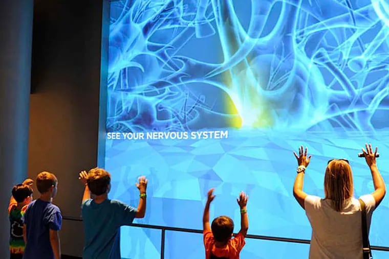 Visitors can “see” their nervous systems on the screen at the Franklin Institute. (Tom Gralish/Staff Photographer)