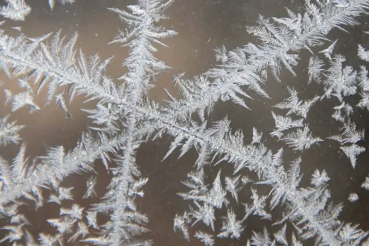 A frost advisory will be in effect in parts of the Philadelphia region Sunday morning.