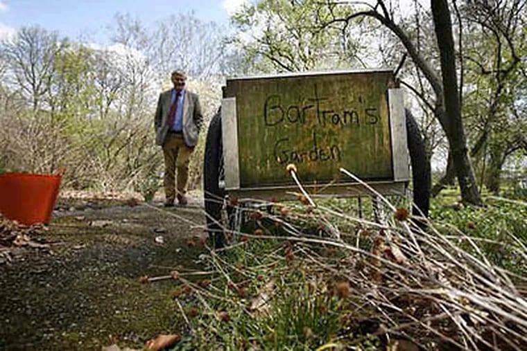 David Howard strolls near yellow hoop petticoats in Bartram's Garden. He calls the site on the Schuylkill "a historical gem." (Eric Mencher/Staff Photographer)