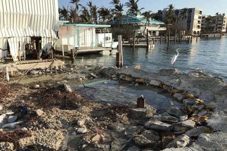 Florida marina damaged by Hurricane Irma.
