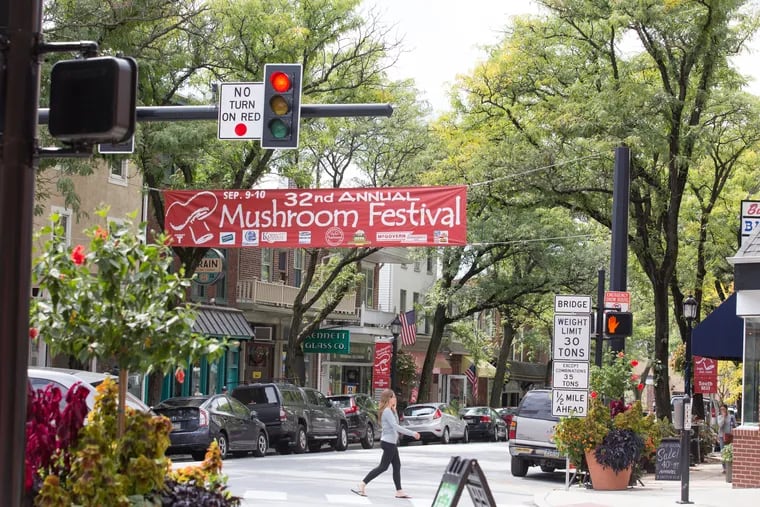 Kennett Square is known for its mushrooms (and mushroom festival), but there's lots to do here year round.