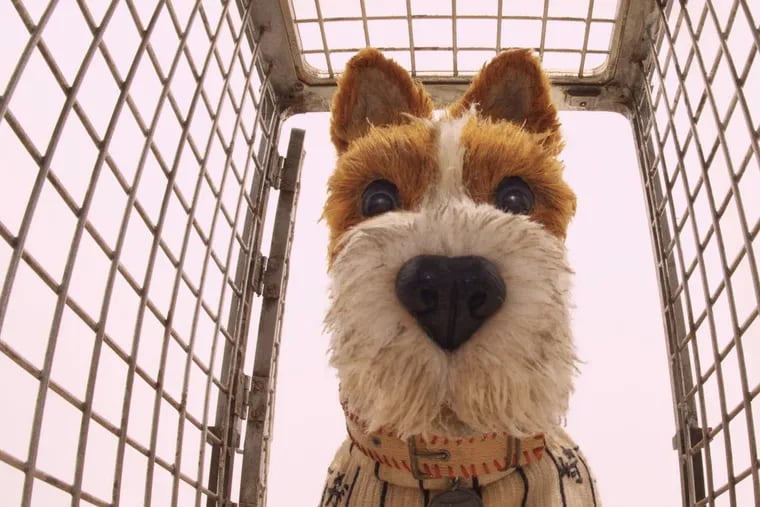 Boss, voiced by Bill Murray, in ‘Isle of Dogs.’