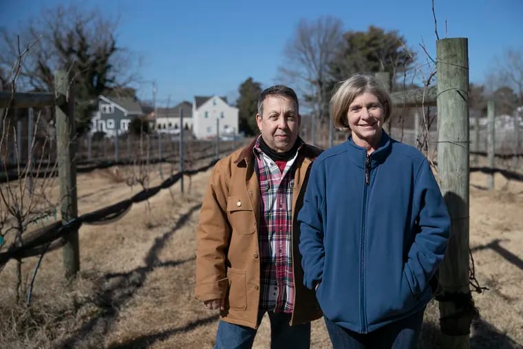 Michael and Robin Halpern pose for a portrait by their vineyard rows on their property in Marmora, N.J. Neighbors and the township are upset about their plans to open what they want to call the Ocean City Winery and are trying to stop them.