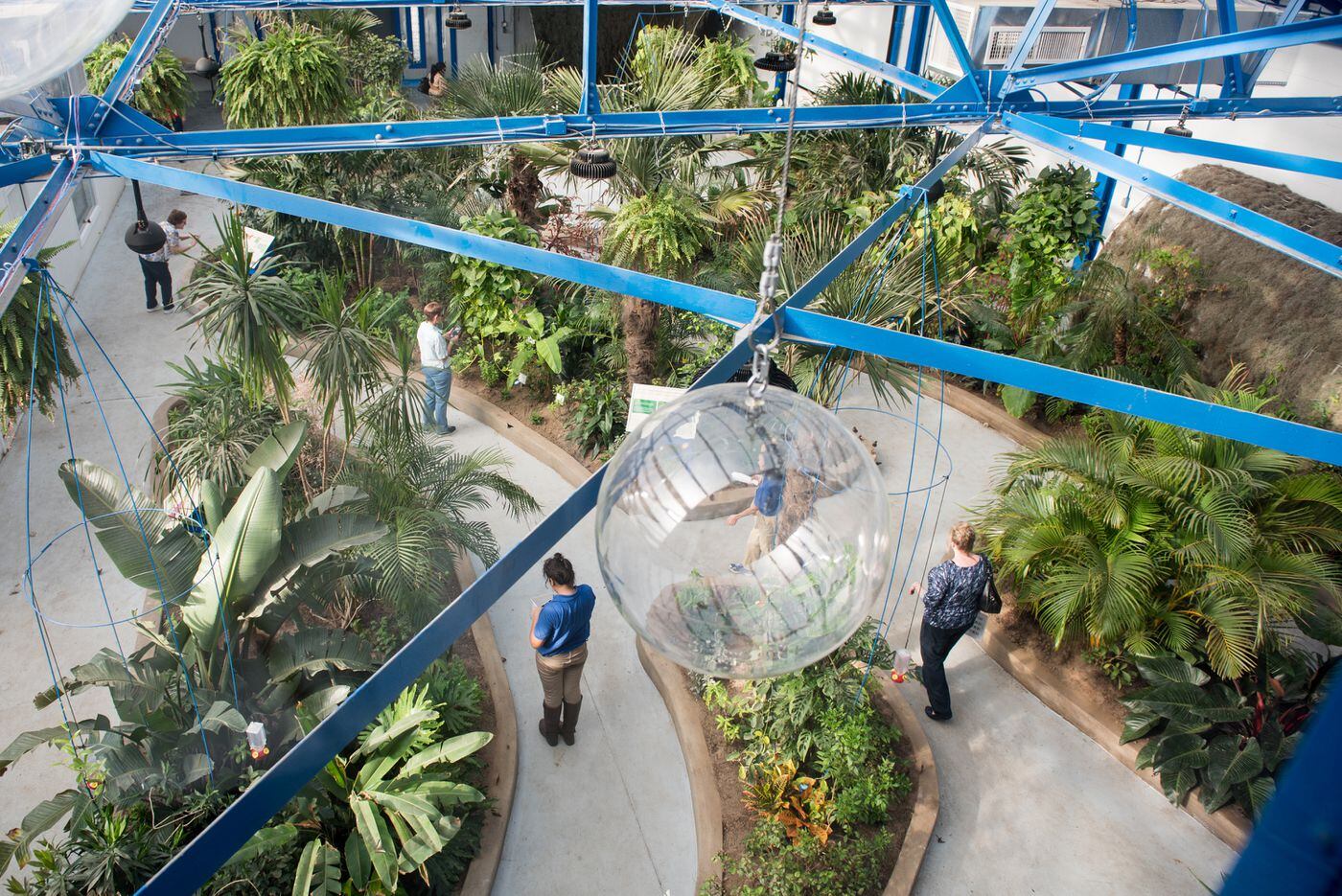 Guests explore the Butterfly Pavilion during the grand opening at The Insectarium in Northeast Philadelphia in 2017.
