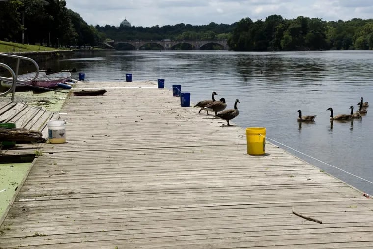 The public dock on the Schuylkill River where a toddler fell into the water on Saturday.