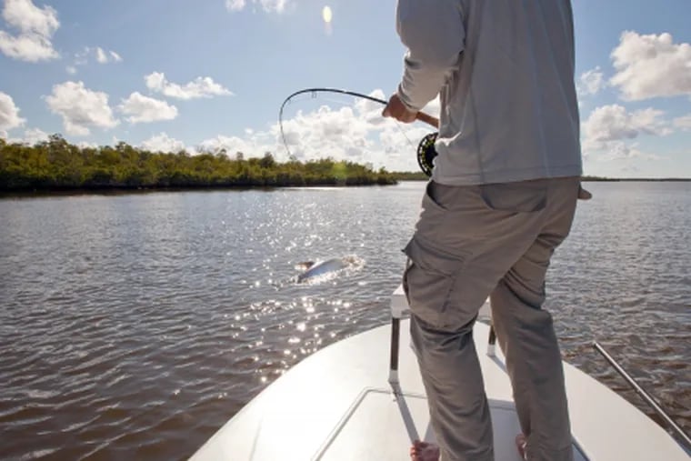 Nathaniel Linville, de Cayo Hueso, trata de controlar un tarpón grande durante un viaje de pesca a Ten Thousand Islands, en el Parque Nacional Everglades. (Photo Credit: Bill Ward)