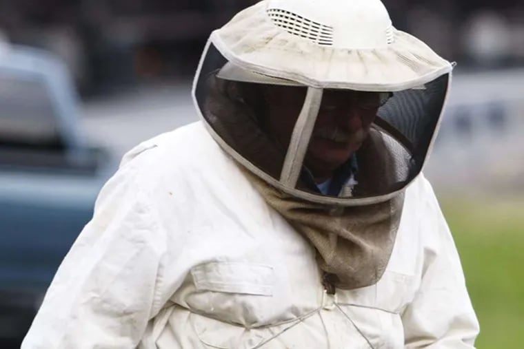 A bee handler at the stinging scene in Delaware. (SUCHAT PEDERSON / ASSOCIATED PRESS)