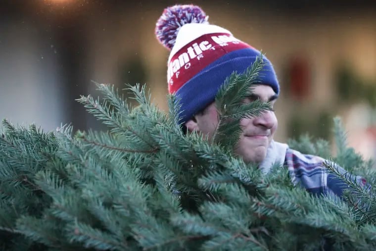 Employee Will Hauser handles a Christmas tree for a customer at Yeager's Farm in Phoenixville, Pa. on Friday, Dec. 2, 2022.