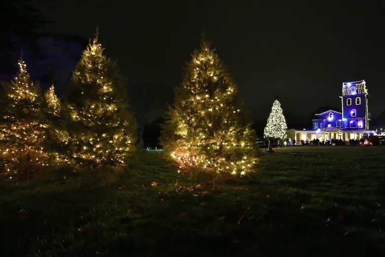 Woodmere Art Museum celebrates the start of a holiday with a virtual illumination of its trees and building on Saturday night.