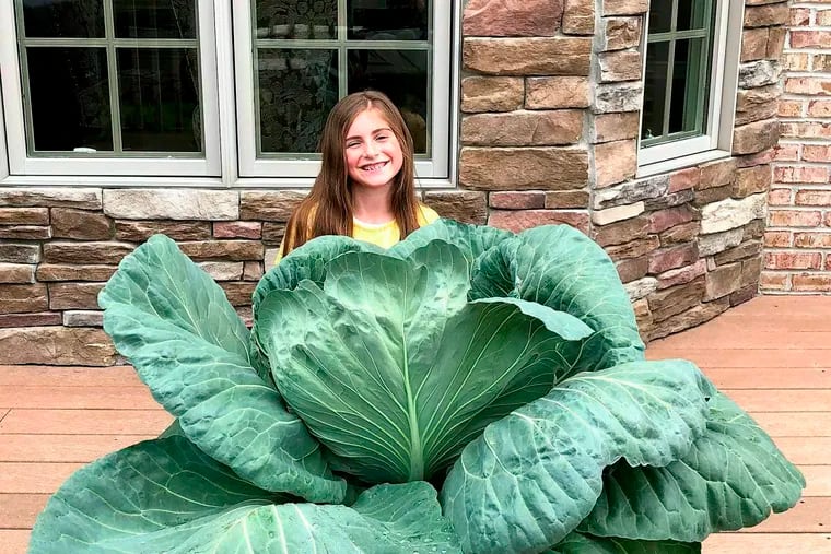 This photo provided by Bonnie Plants Cabbage Program shows  Lily Ries and her prize-winning cabbage. The western Pennsylvania girl with a green thumb has grown an extraordinarily large cabbage. Reis, a fourth-grader at Peebles Elementary School, has won a $1,000 savings bond for her extra-large vegetable. She grew it as part of the National Bonnie Plants Third Grade Cabbage Program. (Bonnie Plants Cabbage Program via AP)