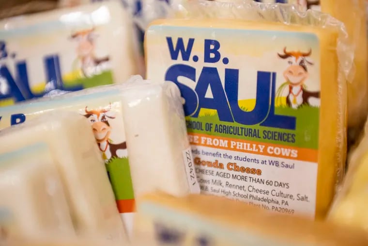 Walter B. Saul High School makes its own cheese. U.S. Agriculture Secretary Tom Vilsack visited the school to announce investments to urban communities that will provide increased access to healthy foods.