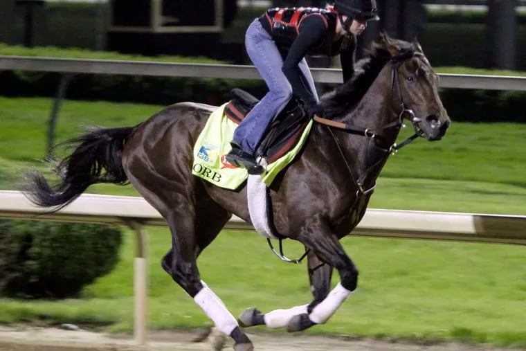 Exercise rider Jenn Patterson takes Orb for a workout at Churchill Downs. Trained by Shug McGaughey, Orb enters the 139th Derby as the narrow 7-2 early favorite.