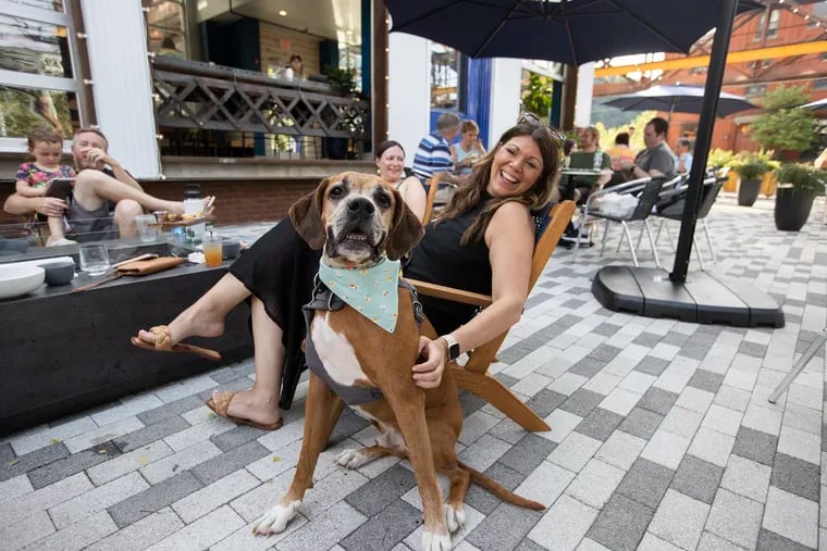 Donna Warrington and her dog, Elvis, at The Landing Kitchen, an all-day cafe created by Nicholas Elmi and Fia Berisha at the riverside redevelopment of the Pencoyd Ironworks., on July 10, 2021.