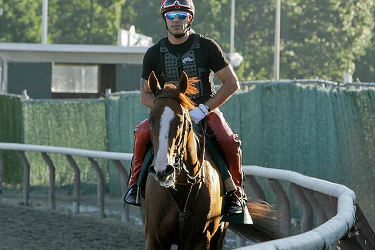 Exercise rider Willie Delgado walks California Chrome back to the gap after a workout at Belmont Park, Friday, June 6, 2014, in Elmont, N.Y. The Kentucky Derby and Preakness Stakes winner will attempt to become the first Triple Crown winner since Affirmed in 1978 when he races in the146th running of the Belmont Stakes horse race on Saturday. (Garry Jones/AP)