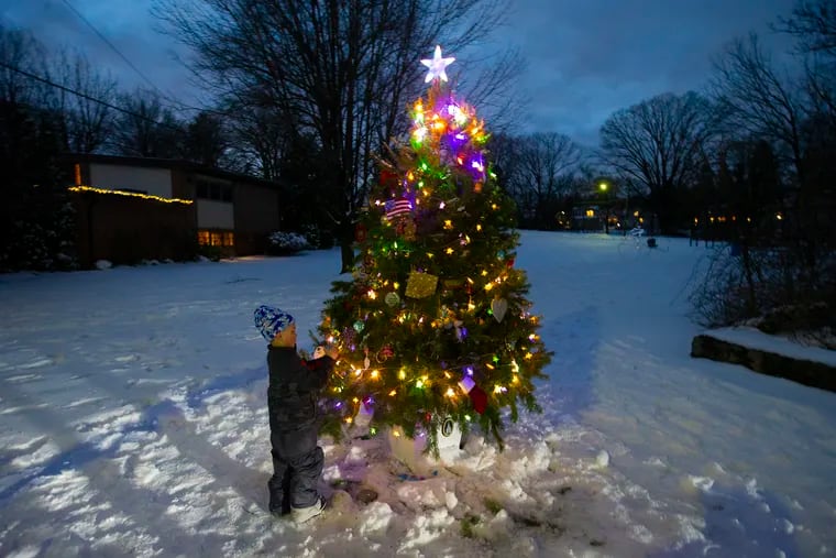 Luke DiCristino checks out a community Christmas tree in Springfield's Williams Park, where people can leave motivational messages, remember loved ones who've died, and connect safely.