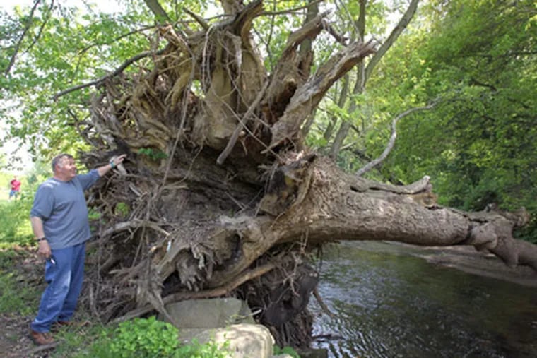 Darby Creek, which courses through one of the country's most densely developed corridors, has long been a drain on the National Flood Insurance Program, and now it appears to be a disaster waiting to happen. (Charles Fox / Staff Photographer)