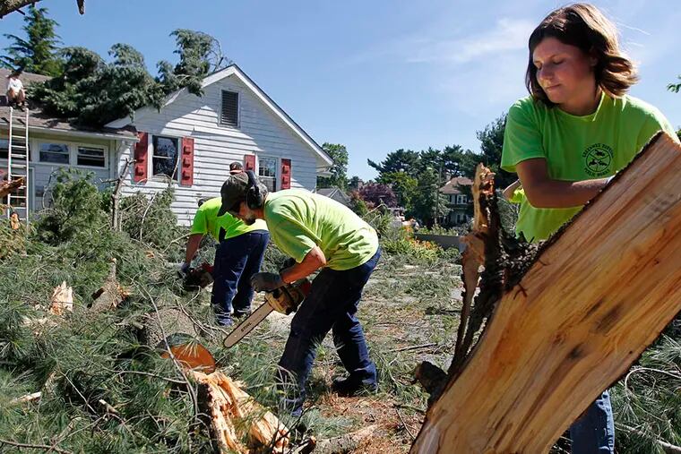 Greenwich Township Public Works' Courtney Pickens, right, and Bob Homan, center, work to clear away fallen trees on Hill Drive in Gibbstown on June 24, 2015, following Tuesday night's storm. (Michael Bryant/Staff Photographer)