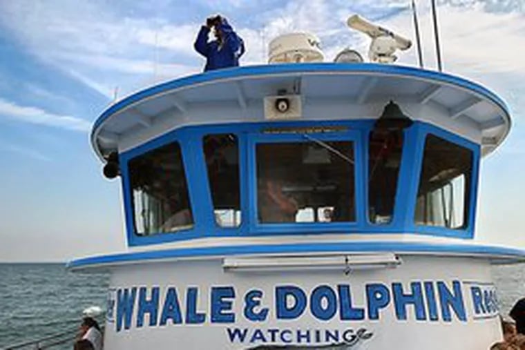 Naturalist Christina Kraemer stands atop a catamaran scanning the sea on a whale- and dolphin-watching cruise.
