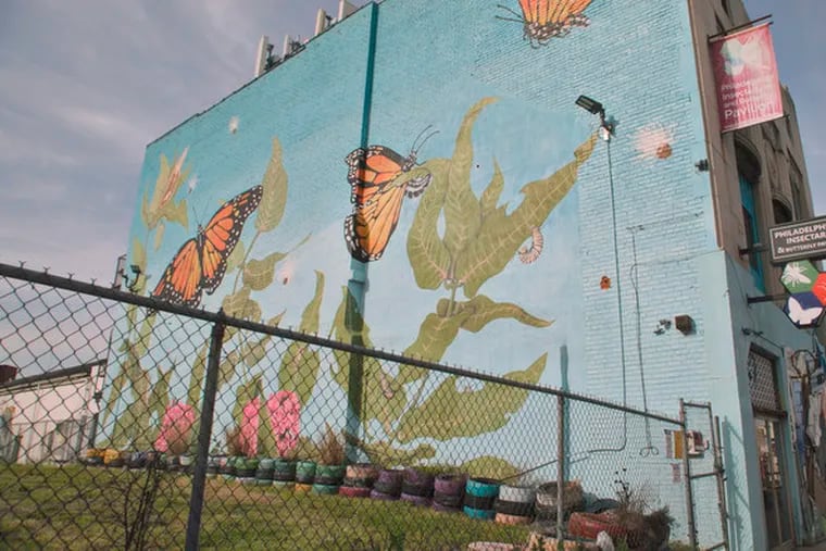 The Philadelphia Insectarium & Butterfly Pavilion at 8046 Frankford Ave.