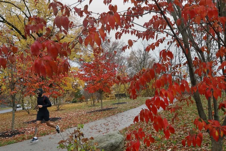 A jogger passes by leaves changing color in Philadelphia's West Fairmount Park on Thursday, Nov. 12, 2020.