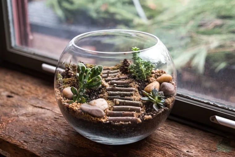A terrarium makes for an easy to customize, plant-based gift that doesn't require any extensive maintenance on behalf of the recipient.
