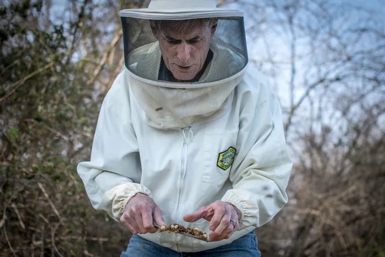 Mark Antunes, president of Montgomery County Beekeepers Association, keeps thousands of honey bees in hives over three suburban counties.
