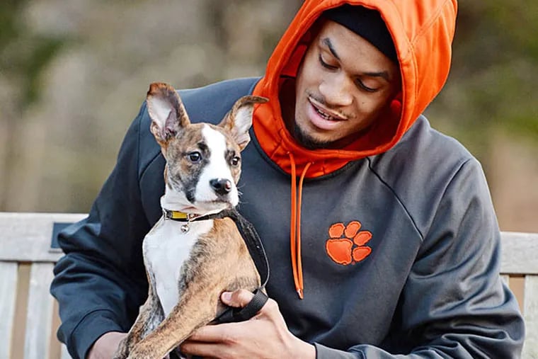 New Sixer K.J. McDaniels, with with his pit bull Layla earlier this year, is dedicated to rescuing abused and neglected dogs. (Bart Boatwright)