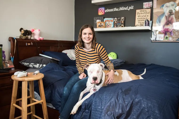 Katie Frame created an Instagram account, @bear.the.blind.pit, for her dog Bear on the first day she brought him home. Her goal is to create a support community for other people with special-needs pets and erase stigmas surrounding pit bulls.