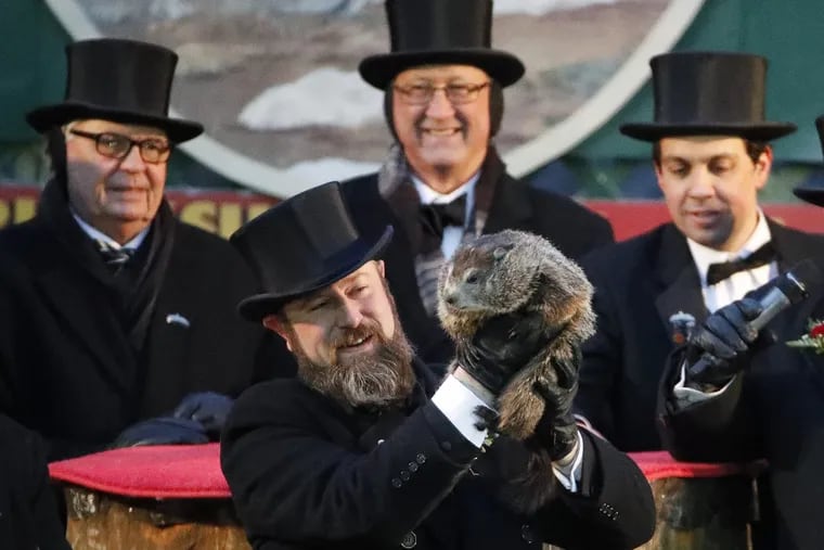 Groundhog Club co-handler Al Dereume holds Punxsutawney Phil, the weather prognosticating groundhog, during the 132nd celebration of Groundhog Day on Gobbler's Knob in Punxsutawney, Pa. Friday, Feb. 2, 2018.