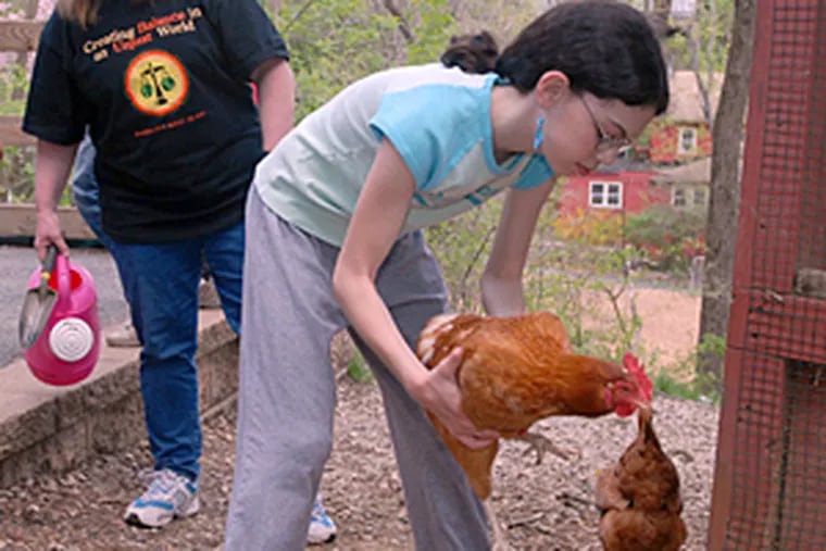 Lynn Hughes watches as Brie Sosnov picks up a chicken that is cooped
just outside her class.