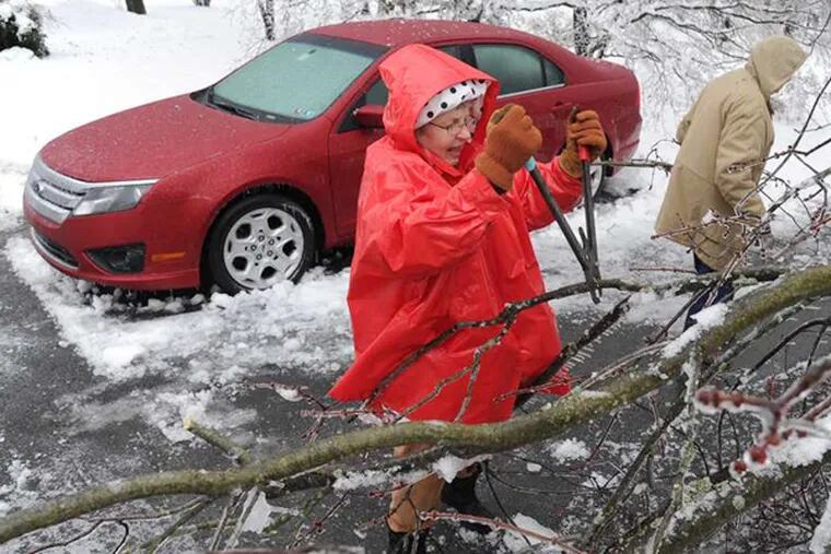 Pat Platt, 77, uses pruning shears on small branches of a maple tree that fell on her driveway in West Chester. (Clem Murray / Staff Photographer)