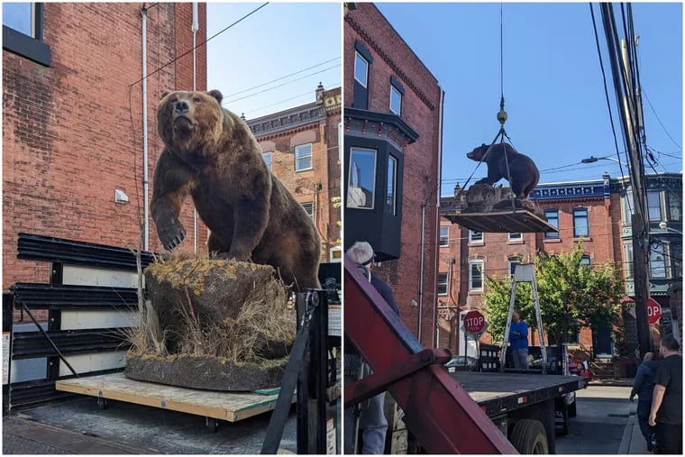 Taxidermied animals are moved via crane in South Philadelphia on May 25, 2023.