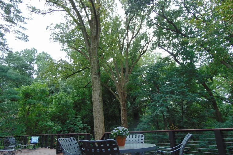 A 52-foot TimberTech deck along the rear of the house overlooks the Saul Wildlife Preserve in Delaware County.