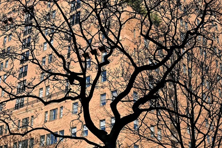 March 14, 2022: Deciduous tree limbs and branches are bare against the apartment buildings surrounding Rittenhouse Square in March. The spring equinox will arrive on Sunday at 11:33 a.m. Philadelphia time. Budding, blooming, and blossoming won't be far behind.
