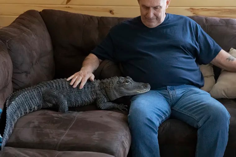 Joie Henney, 65, sits with his emotional support alligator, Wally, inside his home in 2019. The alligator has been Henney's companion since 2015.