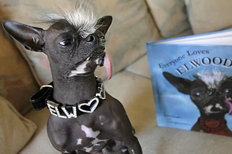 No stud fees for .’s ex-ugliest dog