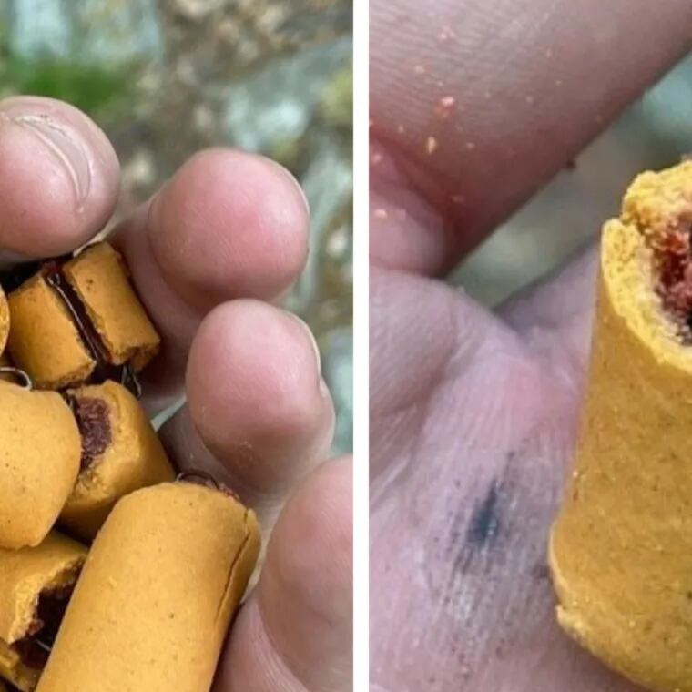 A hiker in Lehigh County found these dog treats stuffed with fish hooks on a portion of the Appalachian Trail there over the weekend.