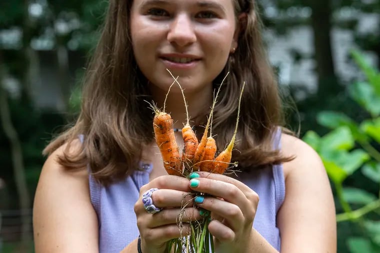 Sarah  Arnstein, holds fresh carrots from her home garden in Voorhees, N.J. Wednesday, August 18, 2021. Jesse Arnstein's passion project, a Jewish-themed garden he has created with his daughter, Sarah. The family uses a number of items from their garden/yard to celebrate the Jewish holidays, including apples, honey and horseradish.