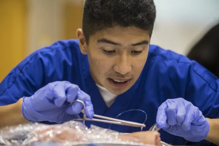 Vincent Flores, 17, a rising senior at Sterling High School, concentrates on his sutures as he uses a pig foot to practice.