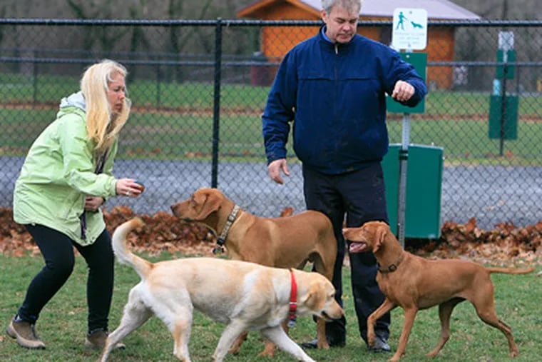 Toni Minkle (left) with dogs, Carly (white) and Kaden, and Mark Pelke with his dog Charley Brown play at the Reynolds' Dog Park. (Akira Suwa / Staff Photographer)