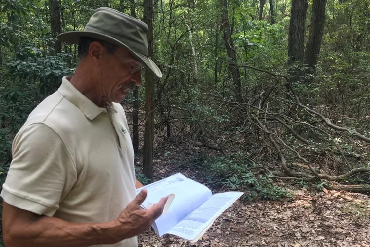 Steve Eisenhauer, regional director of stewardship and land protection of Natural Lands, stands on the nonprofit's land adjacent to Eastern Concrete Materials sand mine.