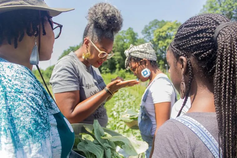 Shivon Pearl Love (center) teaches a harvesting lesson at Sankofa Community Farm in Bartram's Garden during the Our Mothers' Kitchens workshop in summer 2018.