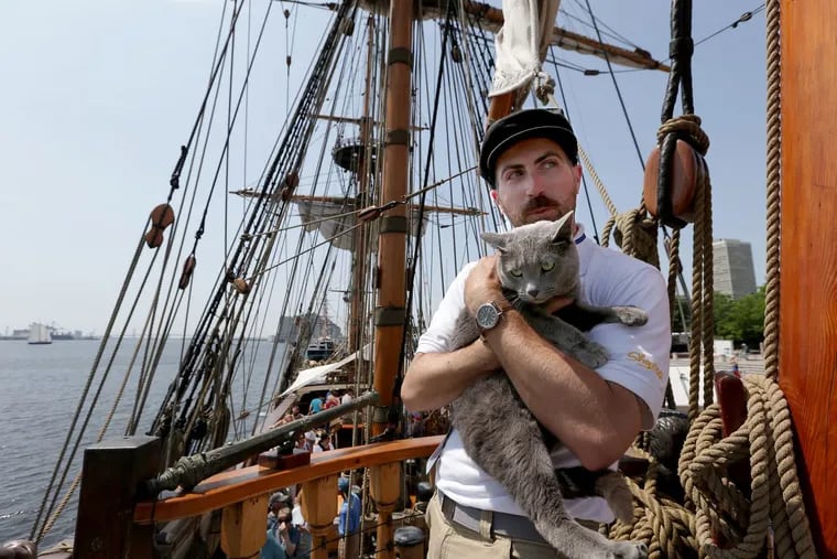 Erich von Hasseln, mate and education officer on the Kalmar Nyckal tall ship, holds Chester, the ship’s cat, as they are docked at Penn’s Landing in Philadelphia.